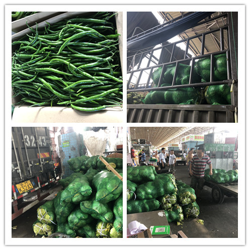 德赢·(VWIN)官方网站-AC米兰官方合作同伴