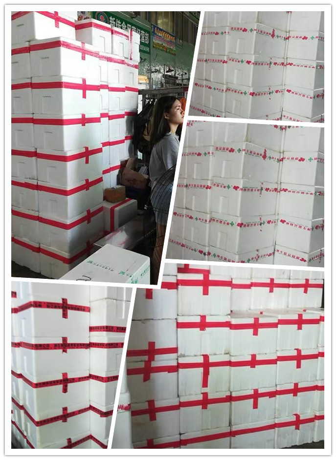 德赢·(VWIN)官方网站-AC米兰官方合作同伴