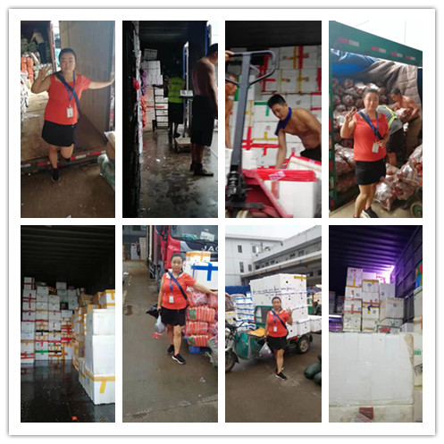 德赢·(VWIN)官方网站-AC米兰官方合作同伴