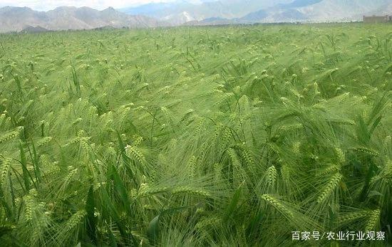 德赢·(VWIN)官方网站-AC米兰官方合作同伴