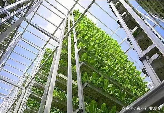 德赢·(VWIN)官方网站-AC米兰官方合作同伴