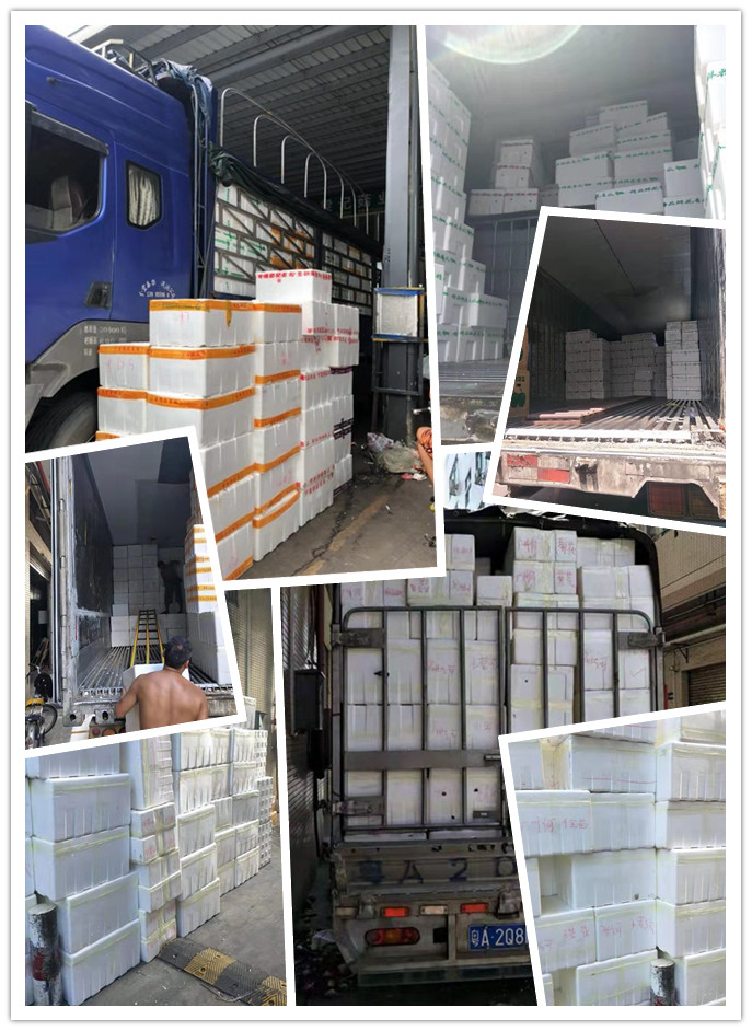 德赢·(VWIN)官方网站-AC米兰官方合作同伴