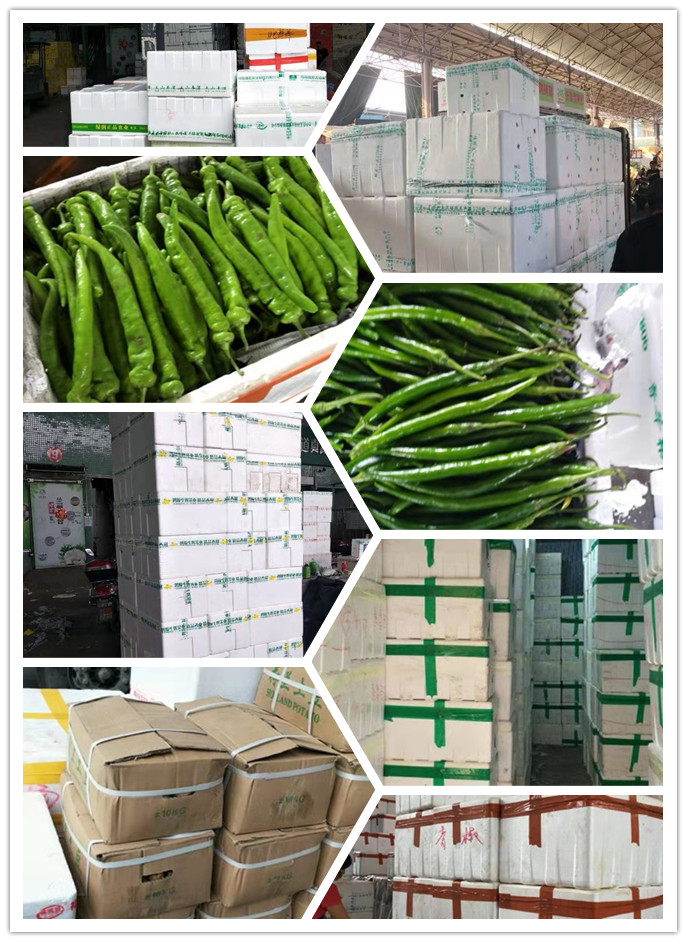 德赢·(VWIN)官方网站-AC米兰官方合作同伴