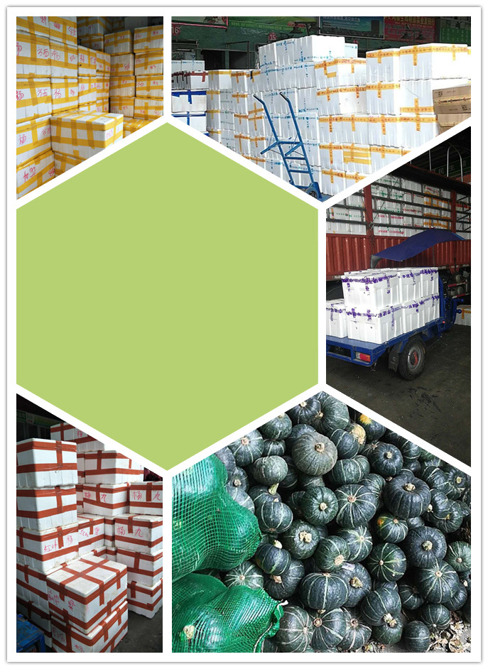 德赢·(VWIN)官方网站-AC米兰官方合作同伴