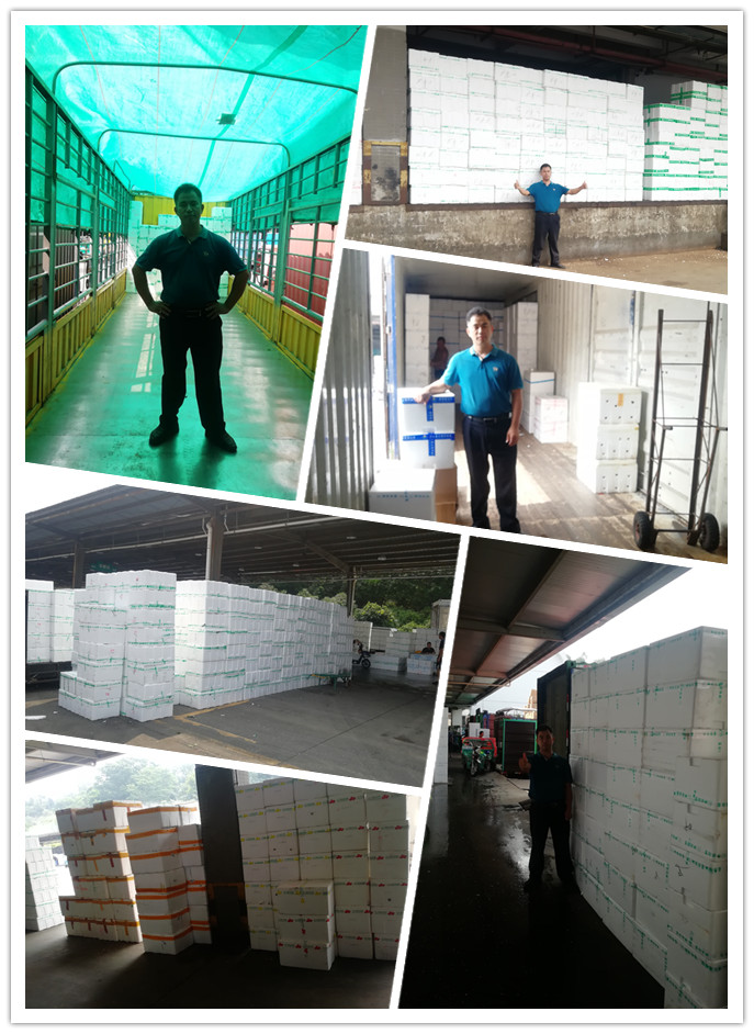 德赢·(VWIN)官方网站-AC米兰官方合作同伴