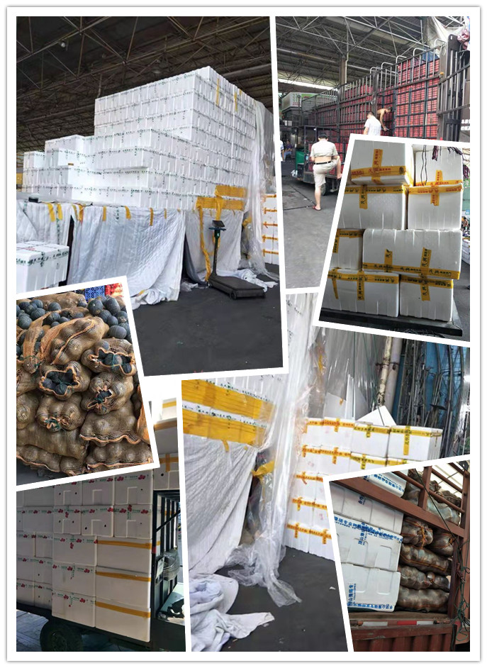 德赢·(VWIN)官方网站-AC米兰官方合作同伴