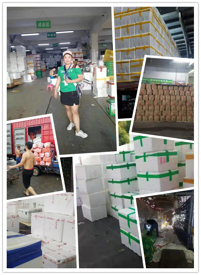 德赢·(VWIN)官方网站-AC米兰官方合作同伴