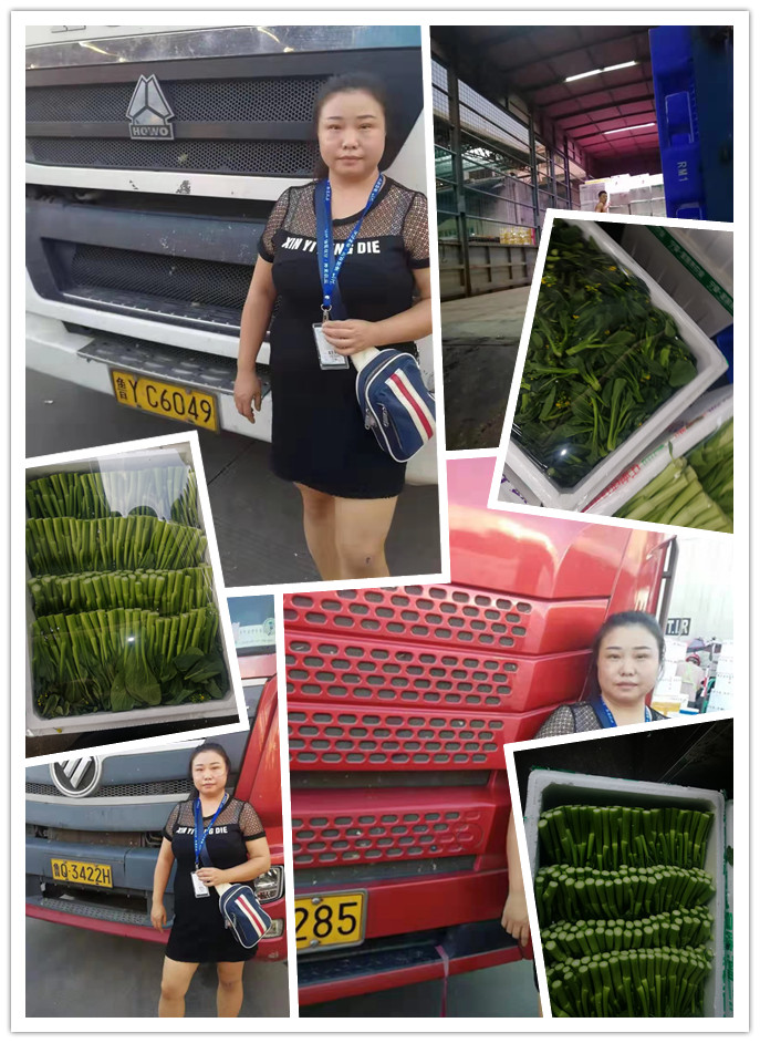 德赢·(VWIN)官方网站-AC米兰官方合作同伴