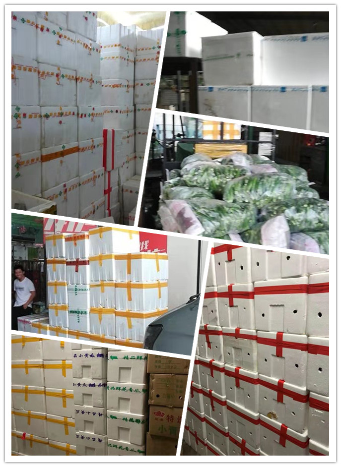 德赢·(VWIN)官方网站-AC米兰官方合作同伴