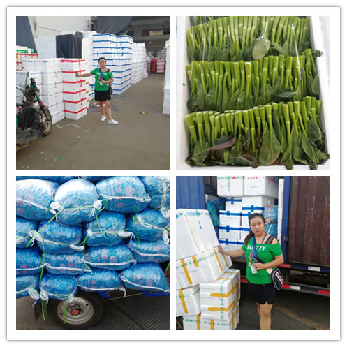 德赢·(VWIN)官方网站-AC米兰官方合作同伴