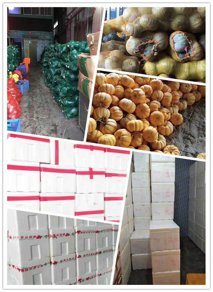 德赢·(VWIN)官方网站-AC米兰官方合作同伴