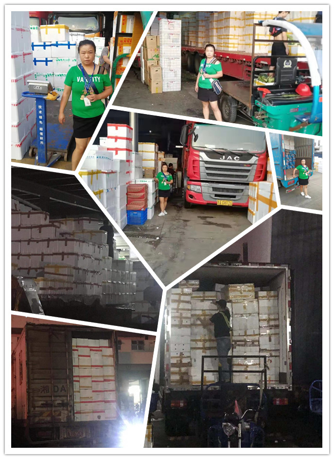 德赢·(VWIN)官方网站-AC米兰官方合作同伴