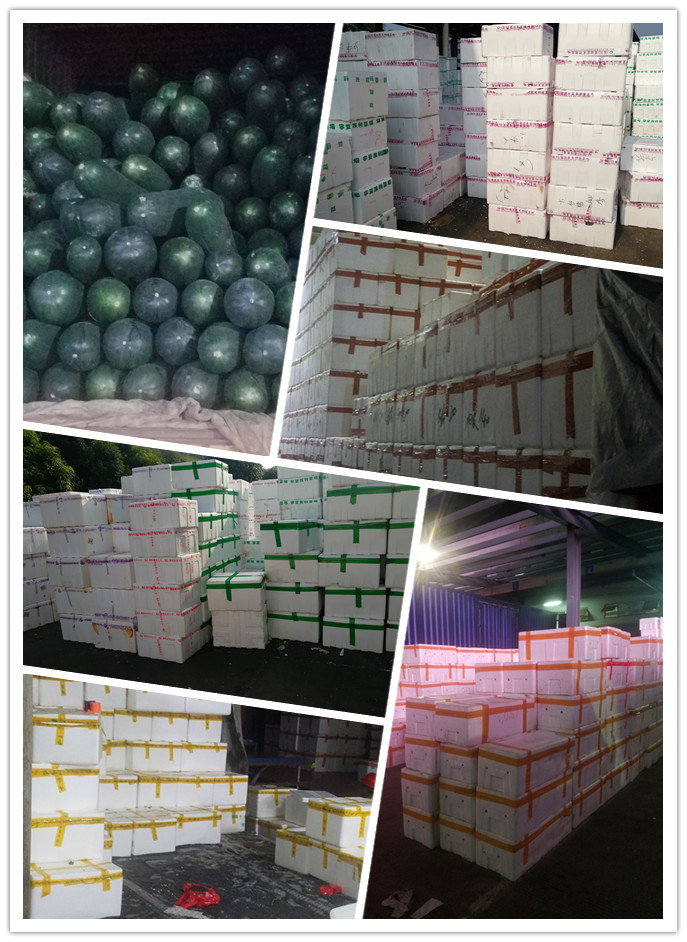 德赢·(VWIN)官方网站-AC米兰官方合作同伴