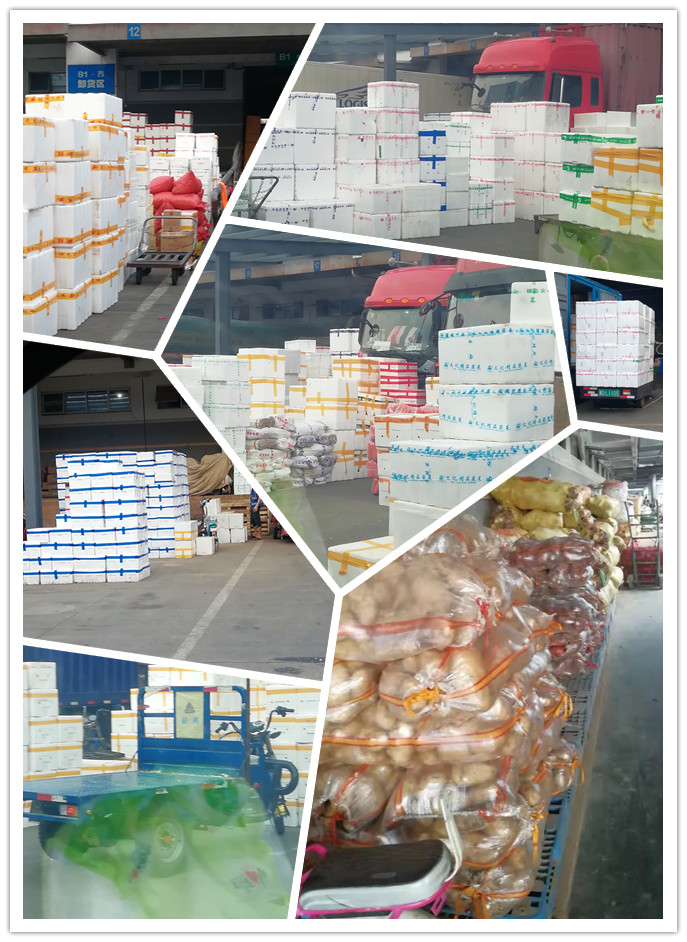 德赢·(VWIN)官方网站-AC米兰官方合作同伴