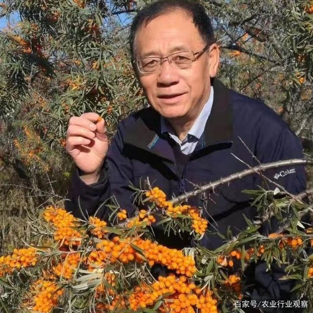 德赢·(VWIN)官方网站-AC米兰官方合作同伴