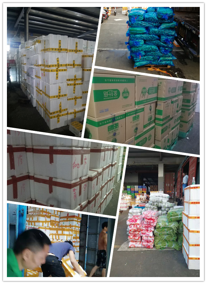 德赢·(VWIN)官方网站-AC米兰官方合作同伴