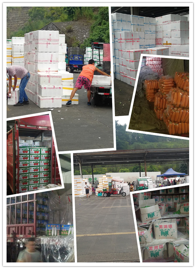 德赢·(VWIN)官方网站-AC米兰官方合作同伴