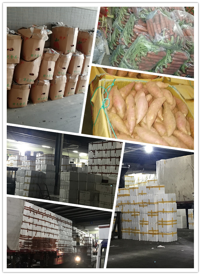 德赢·(VWIN)官方网站-AC米兰官方合作同伴