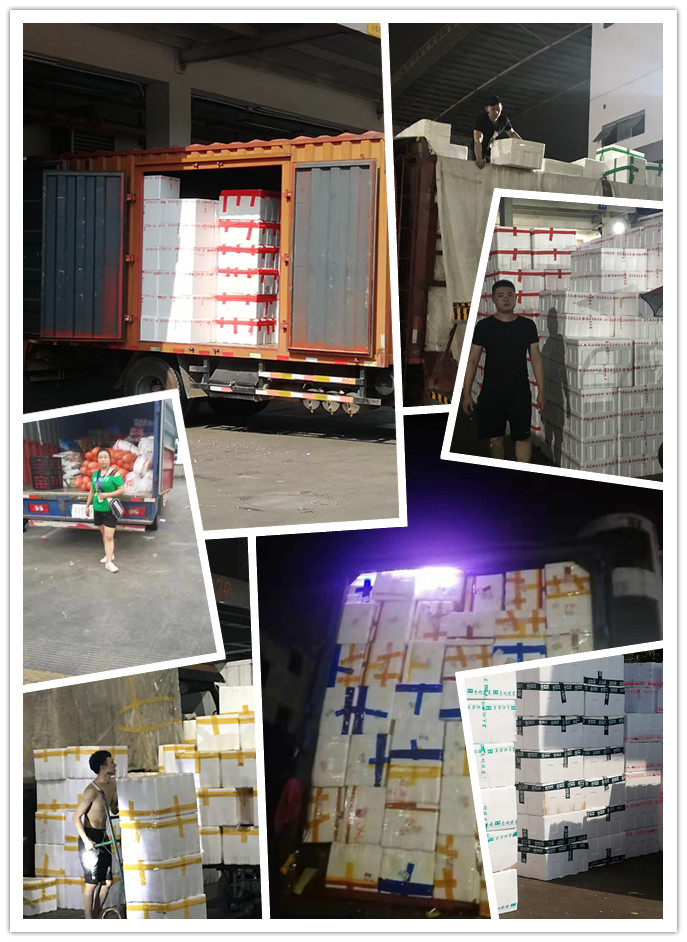 德赢·(VWIN)官方网站-AC米兰官方合作同伴