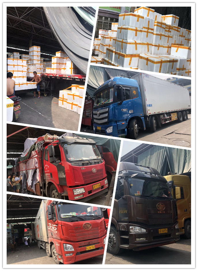 德赢·(VWIN)官方网站-AC米兰官方合作同伴