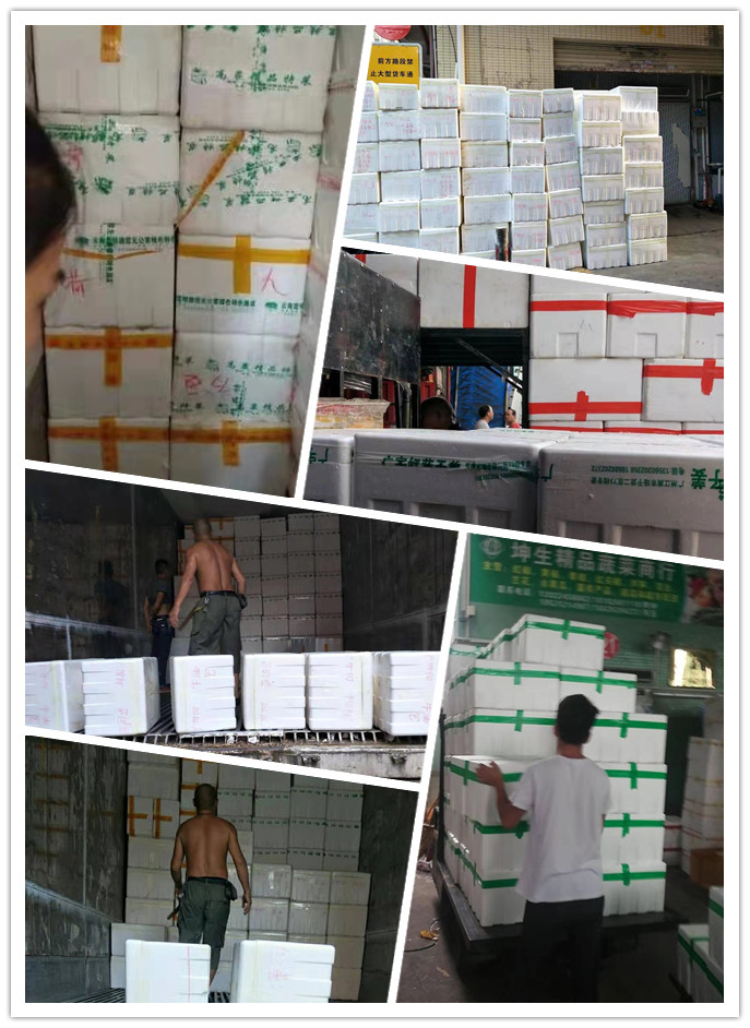 德赢·(VWIN)官方网站-AC米兰官方合作同伴