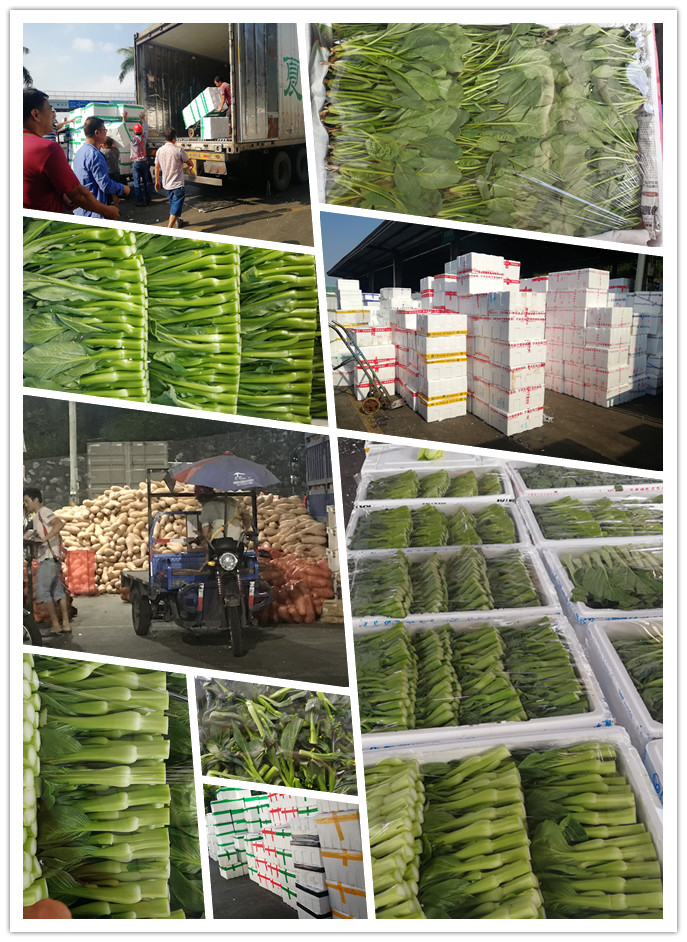 德赢·(VWIN)官方网站-AC米兰官方合作同伴