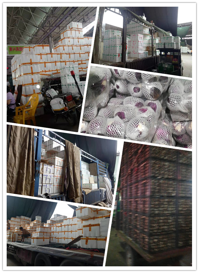 德赢·(VWIN)官方网站-AC米兰官方合作同伴