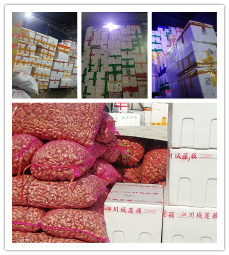 德赢·(VWIN)官方网站-AC米兰官方合作同伴