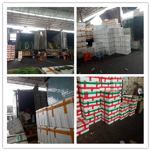 德赢·(VWIN)官方网站-AC米兰官方合作同伴