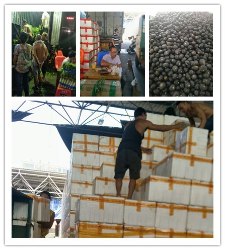 德赢·(VWIN)官方网站-AC米兰官方合作同伴