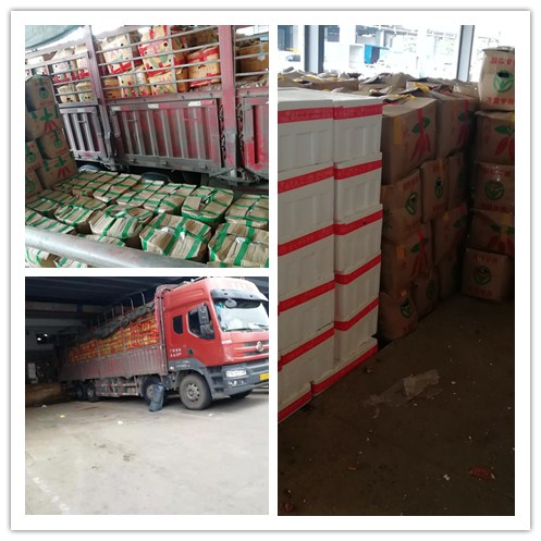 德赢·(VWIN)官方网站-AC米兰官方合作同伴