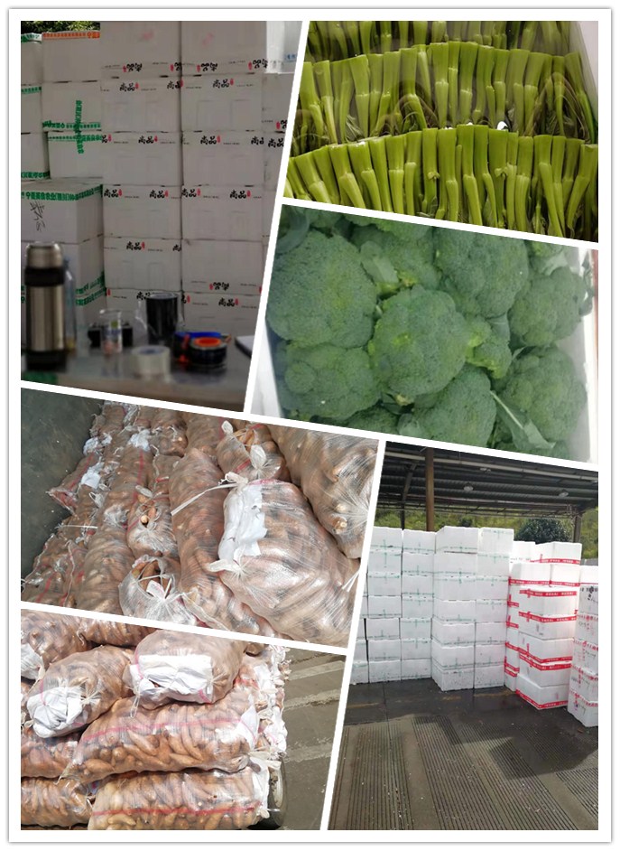 德赢·(VWIN)官方网站-AC米兰官方合作同伴