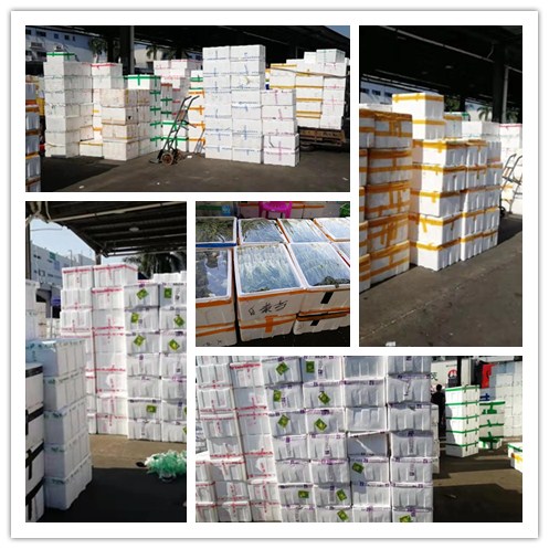 德赢·(VWIN)官方网站-AC米兰官方合作同伴