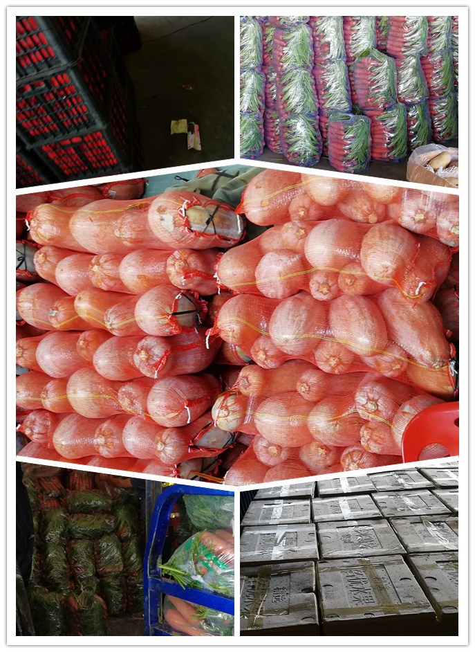 德赢·(VWIN)官方网站-AC米兰官方合作同伴