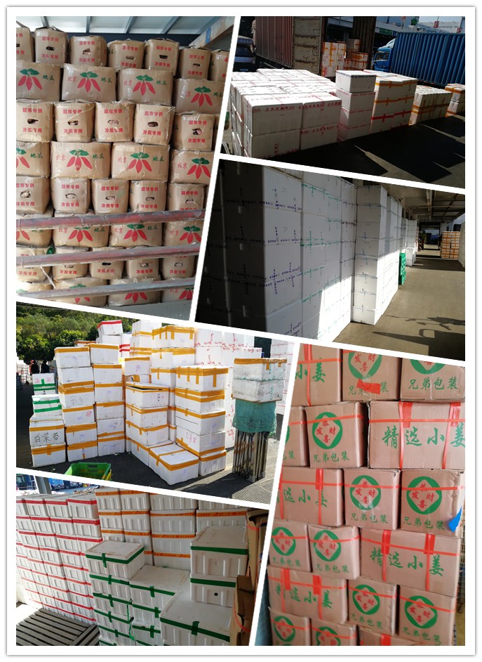 德赢·(VWIN)官方网站-AC米兰官方合作同伴