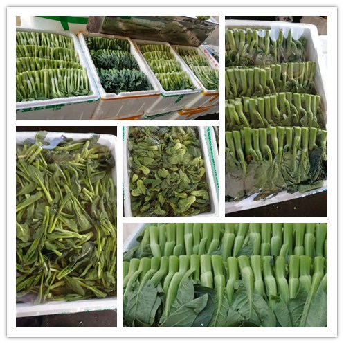 德赢·(VWIN)官方网站-AC米兰官方合作同伴