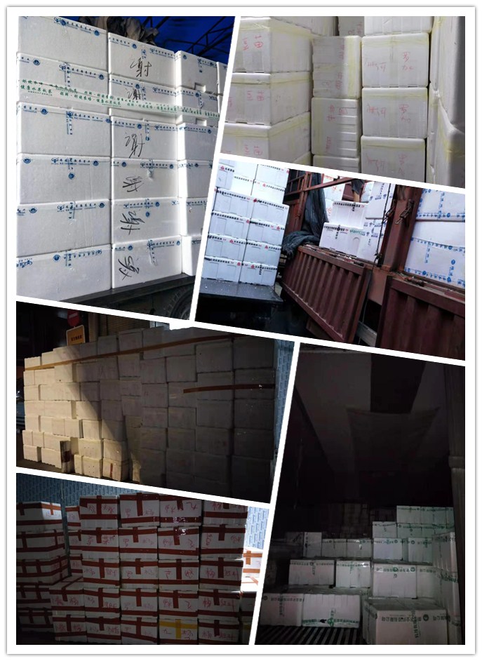 德赢·(VWIN)官方网站-AC米兰官方合作同伴