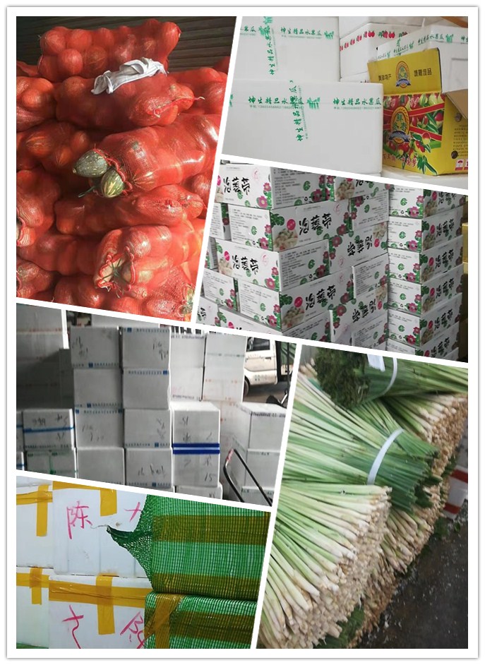 德赢·(VWIN)官方网站-AC米兰官方合作同伴