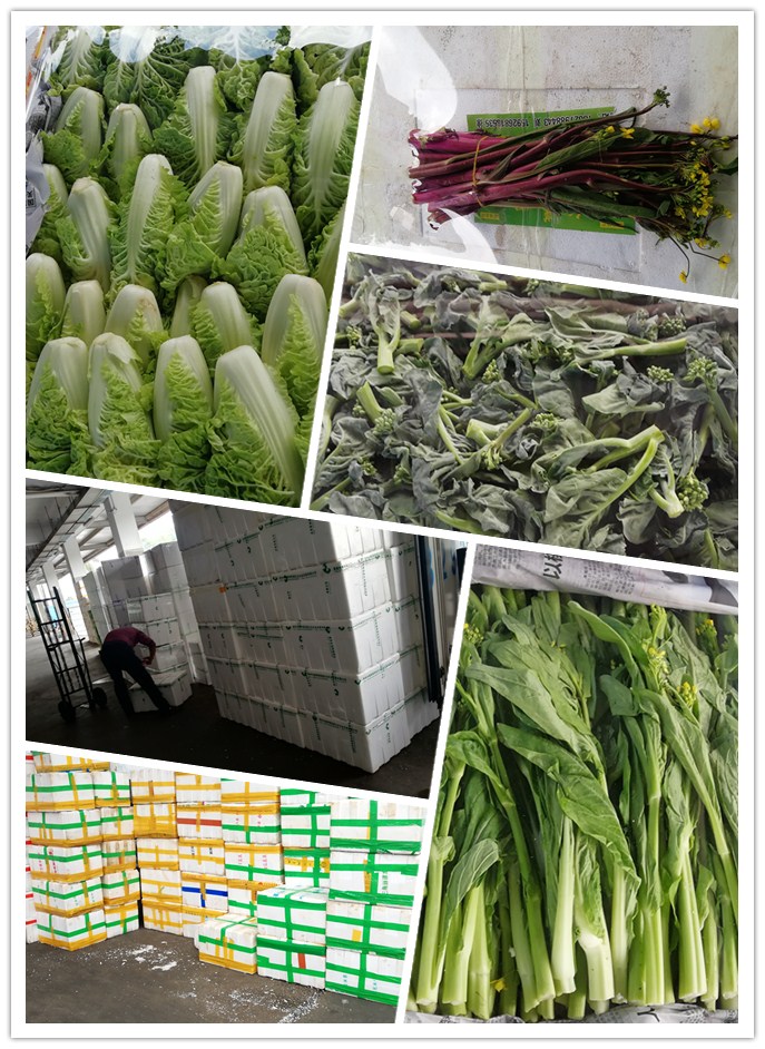 德赢·(VWIN)官方网站-AC米兰官方合作同伴