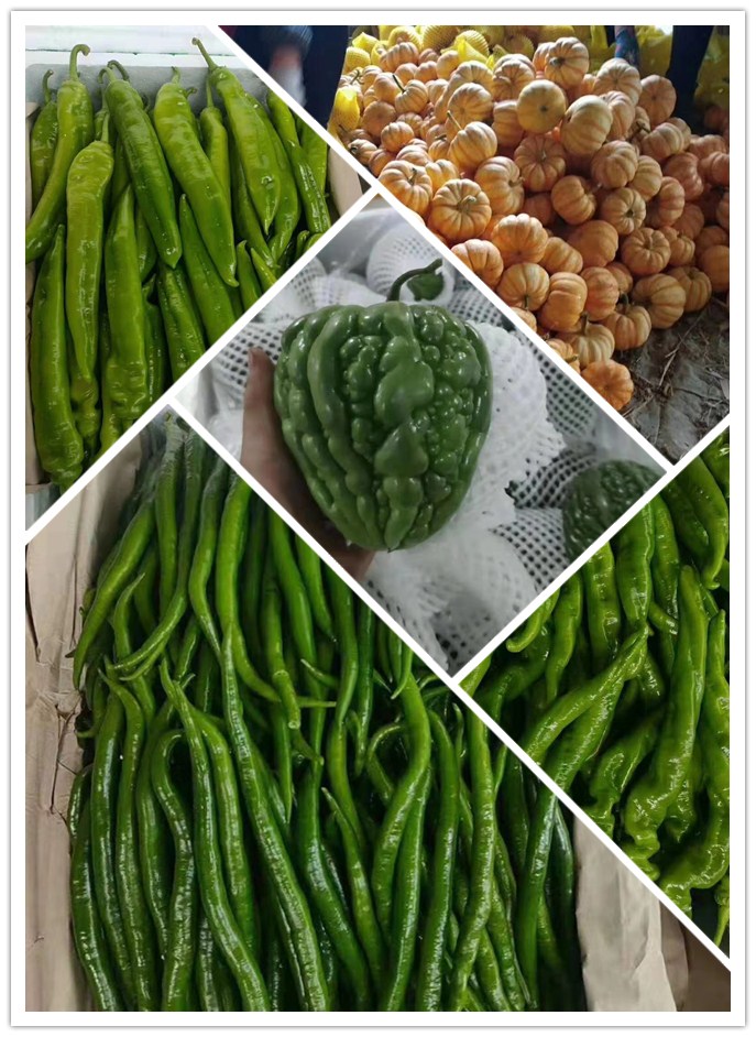 德赢·(VWIN)官方网站-AC米兰官方合作同伴