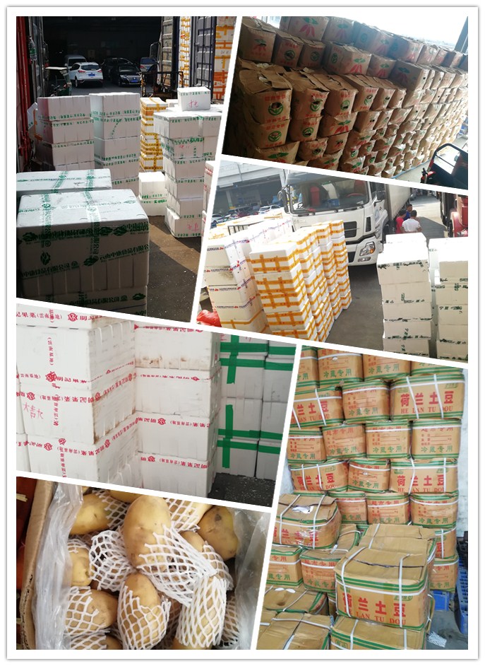 德赢·(VWIN)官方网站-AC米兰官方合作同伴