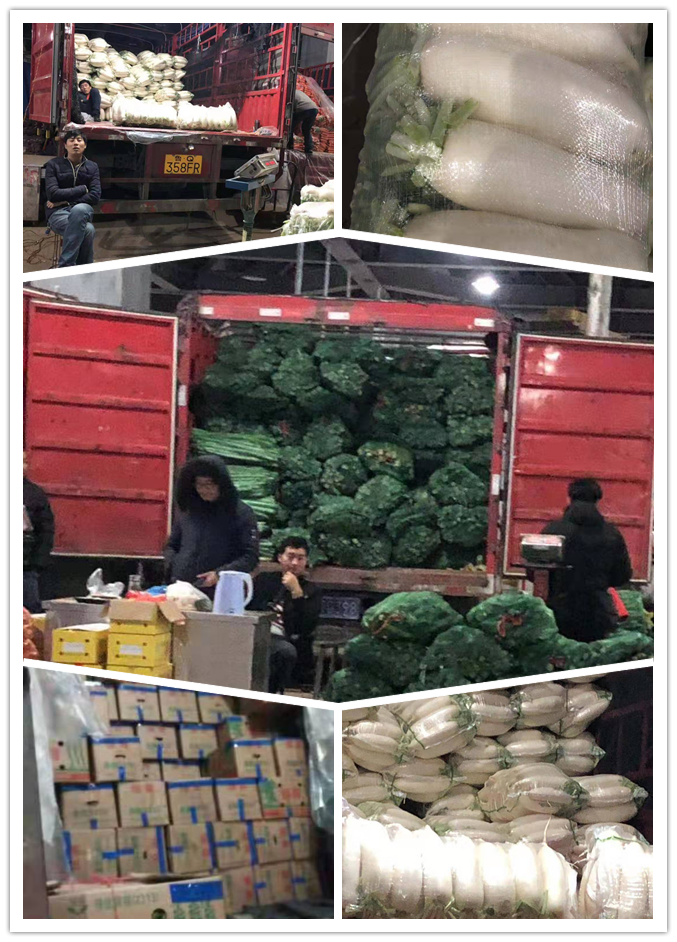 德赢·(VWIN)官方网站-AC米兰官方合作同伴