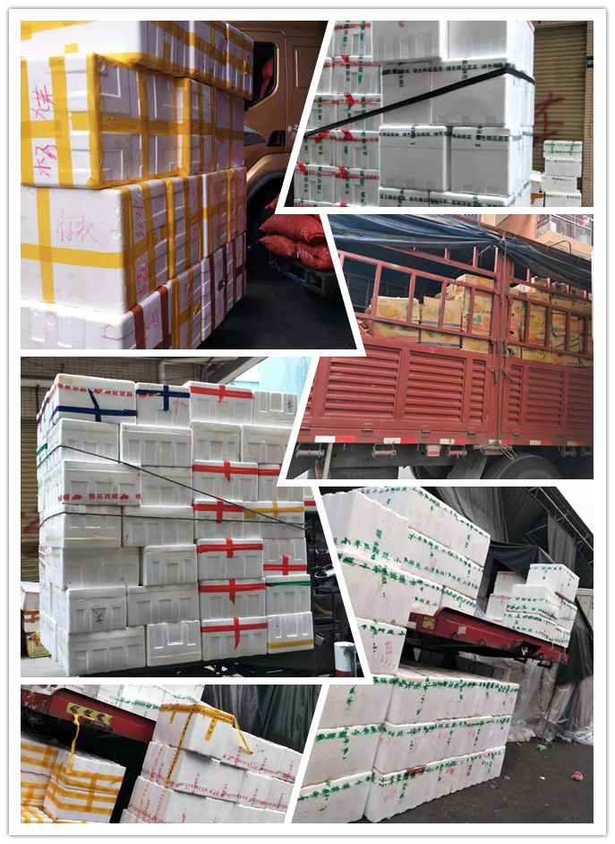 德赢·(VWIN)官方网站-AC米兰官方合作同伴