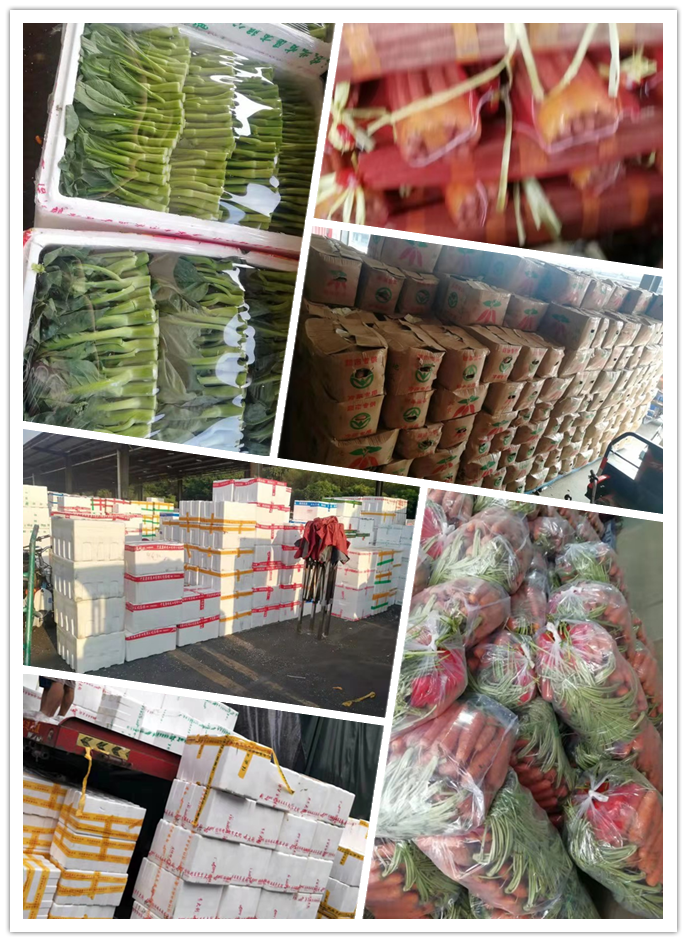 德赢·(VWIN)官方网站-AC米兰官方合作同伴