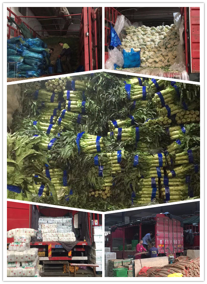 德赢·(VWIN)官方网站-AC米兰官方合作同伴