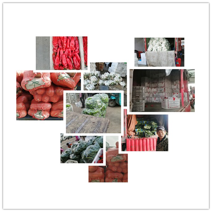 德赢·(VWIN)官方网站-AC米兰官方合作同伴