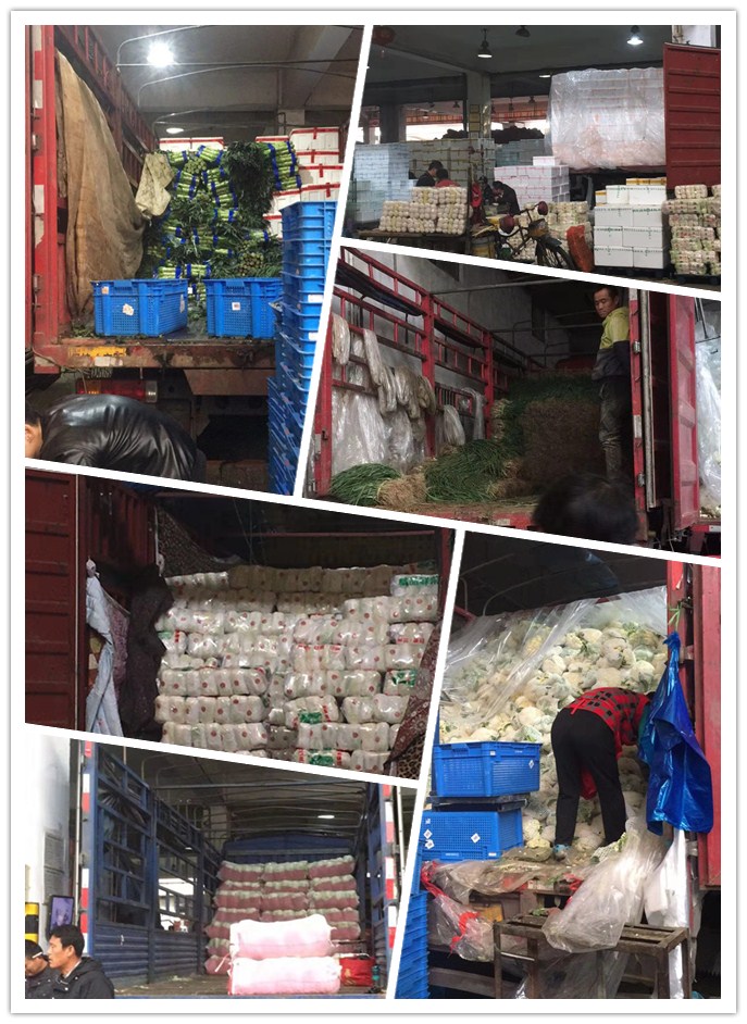 德赢·(VWIN)官方网站-AC米兰官方合作同伴