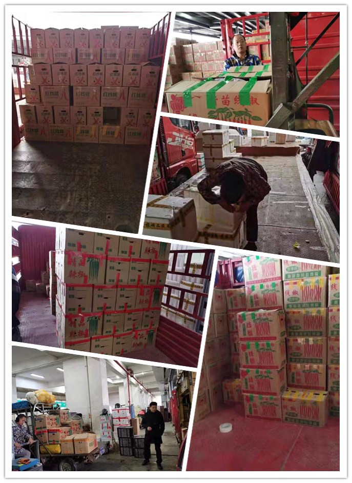 德赢·(VWIN)官方网站-AC米兰官方合作同伴