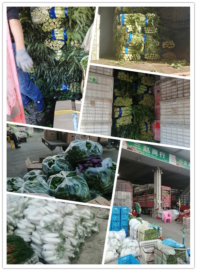 德赢·(VWIN)官方网站-AC米兰官方合作同伴