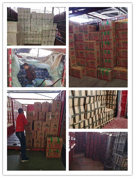 德赢·(VWIN)官方网站-AC米兰官方合作同伴